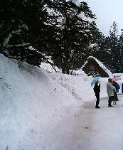 e0072622_12472.jpg