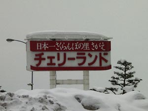 b0044726_20375290.jpg