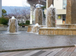 d0017632_2053413.jpg