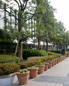 d0017632_2101758.jpg