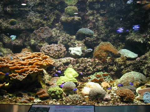 e0083238_21492226.jpg