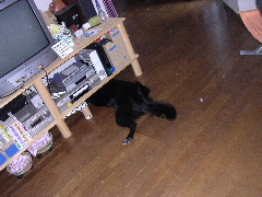 c0065643_18425581.jpg