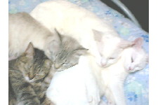 c0011446_2135527.jpg