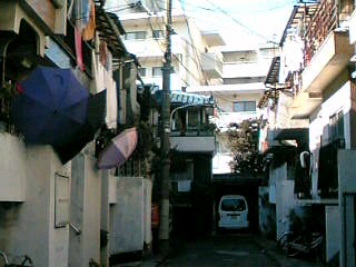 e0083359_16284442.jpg
