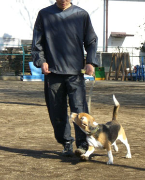 e0007060_23304456.jpg