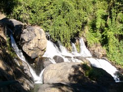 e0066369_040561.jpg