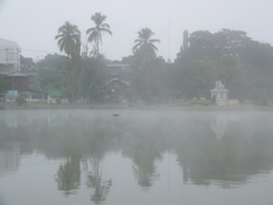 e0066369_054581.jpg