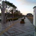 b0054792_703488.jpg