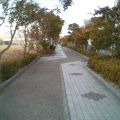 b0054792_71935.jpg