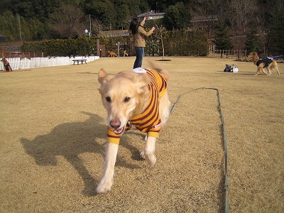 e0014801_1435777.jpg