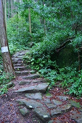 a0036412_18225550.jpg