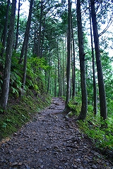 a0036412_18231157.jpg