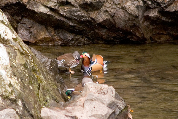 e0025930_22334156.jpg