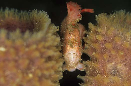 b0042837_21102378.jpg