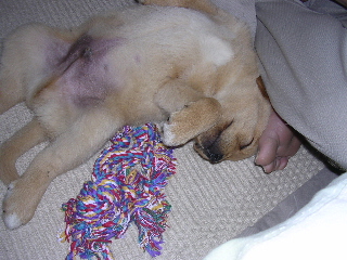 c0065643_16554581.jpg