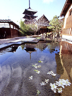b0046349_054673.jpg