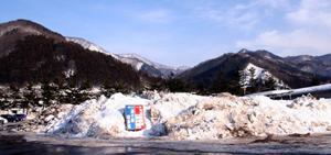 e0009049_16551047.jpg