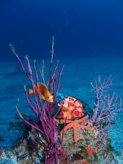 d0021952_22283117.jpg