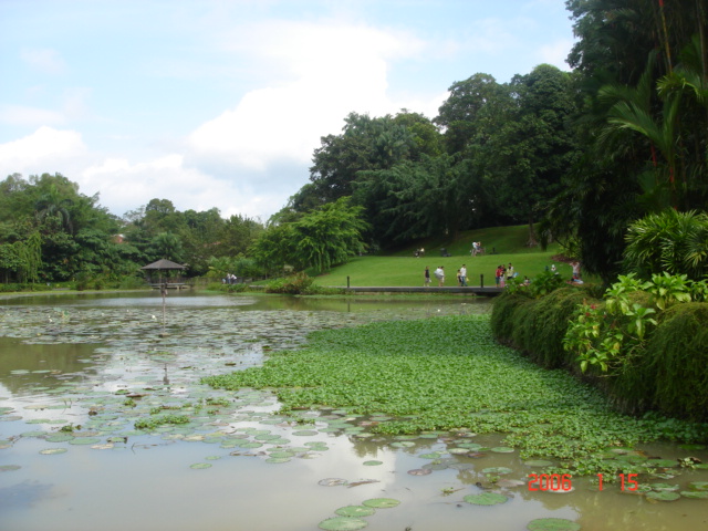 d0065459_1316615.jpg
