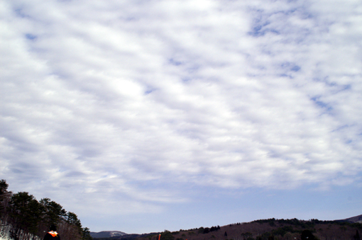 d0008269_1147175.jpg