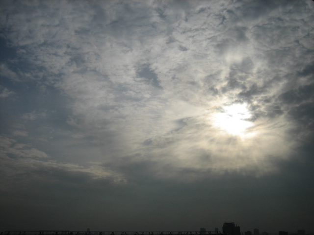e0051194_234084.jpg