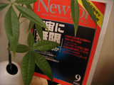 c0055305_223932.jpg