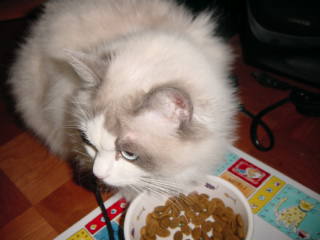c0024410_21395655.jpg