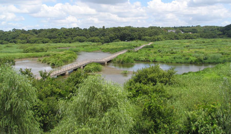 f0035016_9381935.jpg