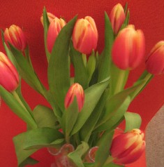 f0041447_011490.jpg