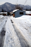 e0009049_125301.jpg