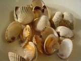 c0039768_230166.jpg
