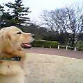 a0046069_21211810.jpg