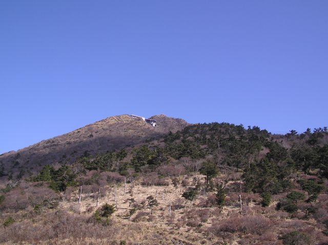 c0042869_19402377.jpg