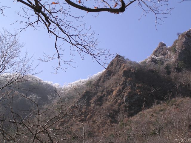 c0042869_19405363.jpg