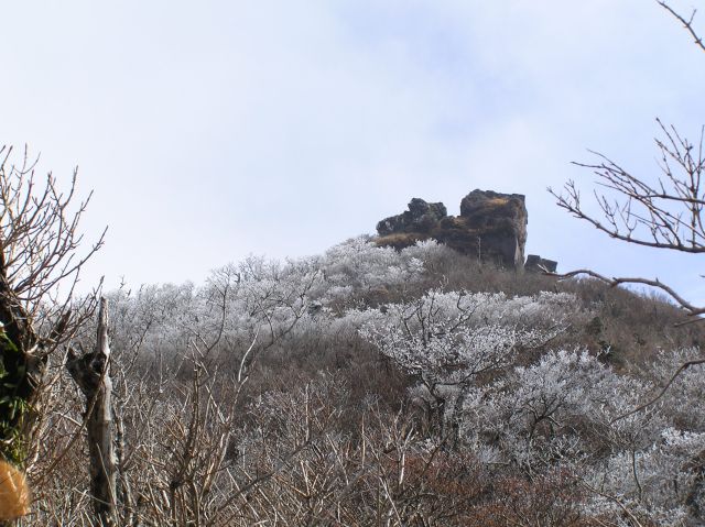 c0042869_19411890.jpg