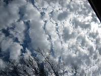 e0015270_32295.jpg