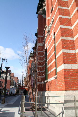 b0055171_15104679.jpg