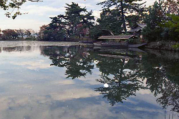 e0002371_7515753.jpg
