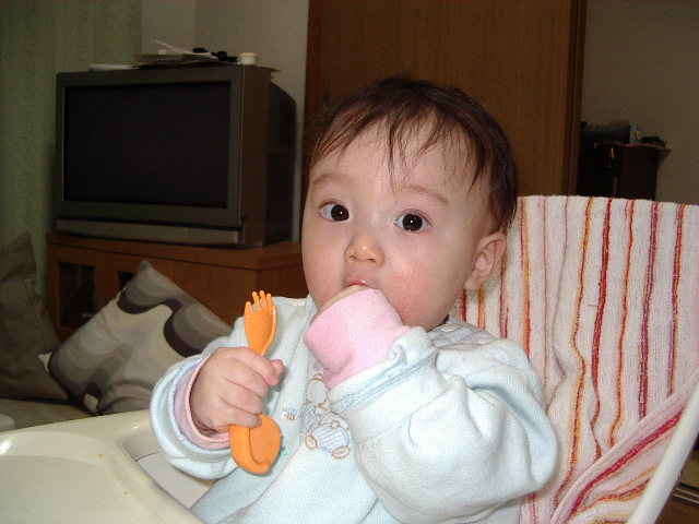 e0089272_1110403.jpg