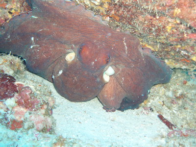a0002177_23362879.jpg
