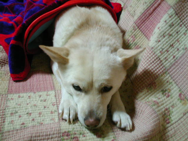 f0005081_20343027.jpg