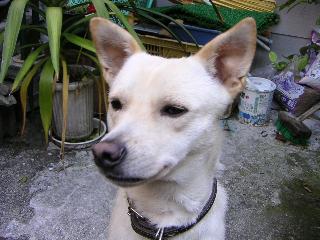 a0018200_1620960.jpg