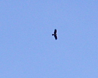 a0024005_0461376.jpg