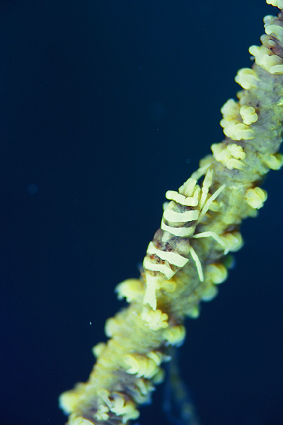 c0064907_2237796.jpg