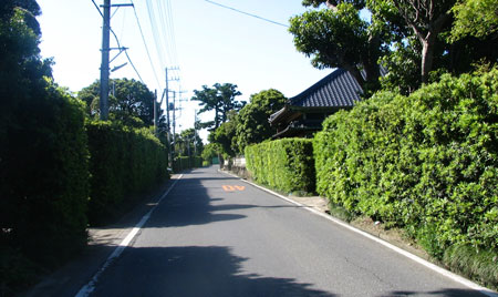 f0035016_1058873.jpg