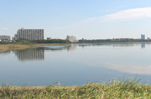 f0035016_1141291.jpg