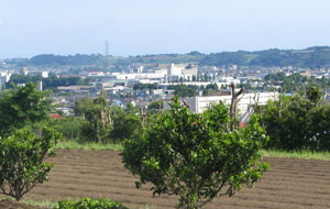 f0035016_1764968.jpg