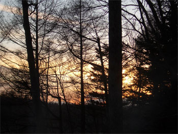 b0034422_11382118.jpg