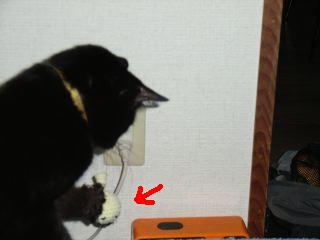 a0033423_14281064.jpg