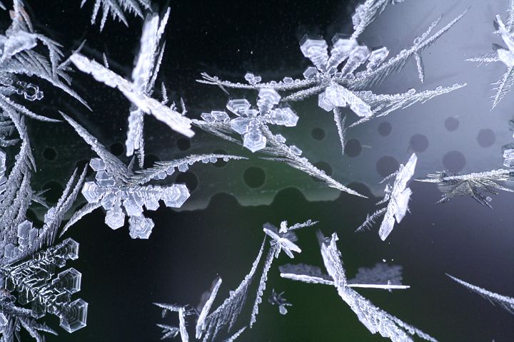 d0012134_15492870.jpg